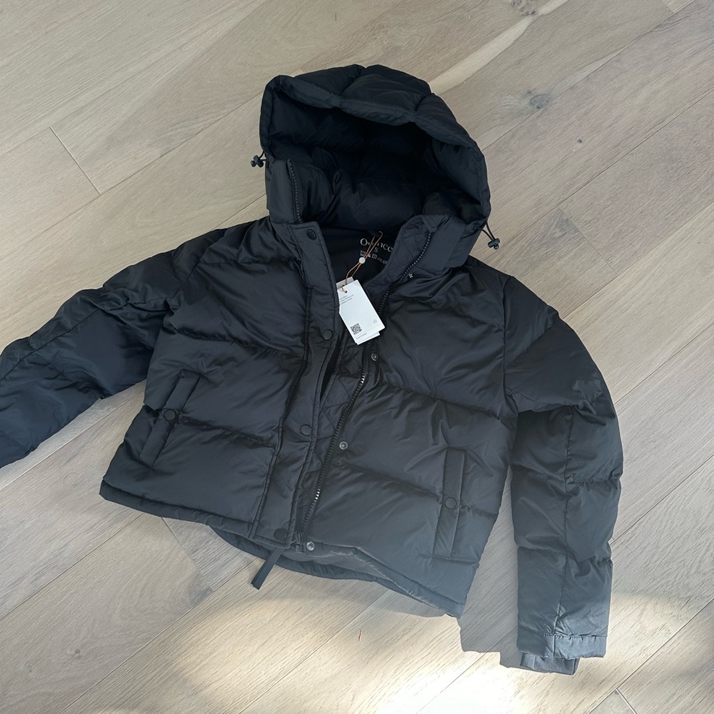 quince puffer down jacket